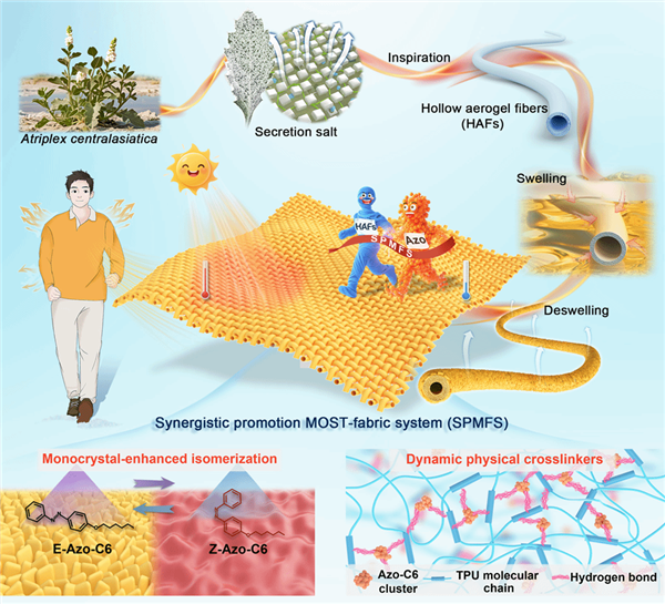 天津大学研发出神奇织物:光照12秒就能升至40℃